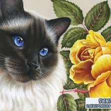 Схема вышивки «№789448»