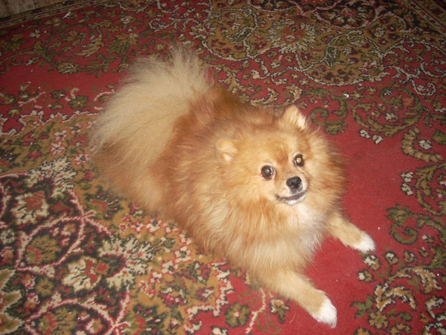 №789551 - оригинал