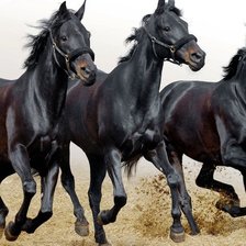 Схема вышивки «лошади»