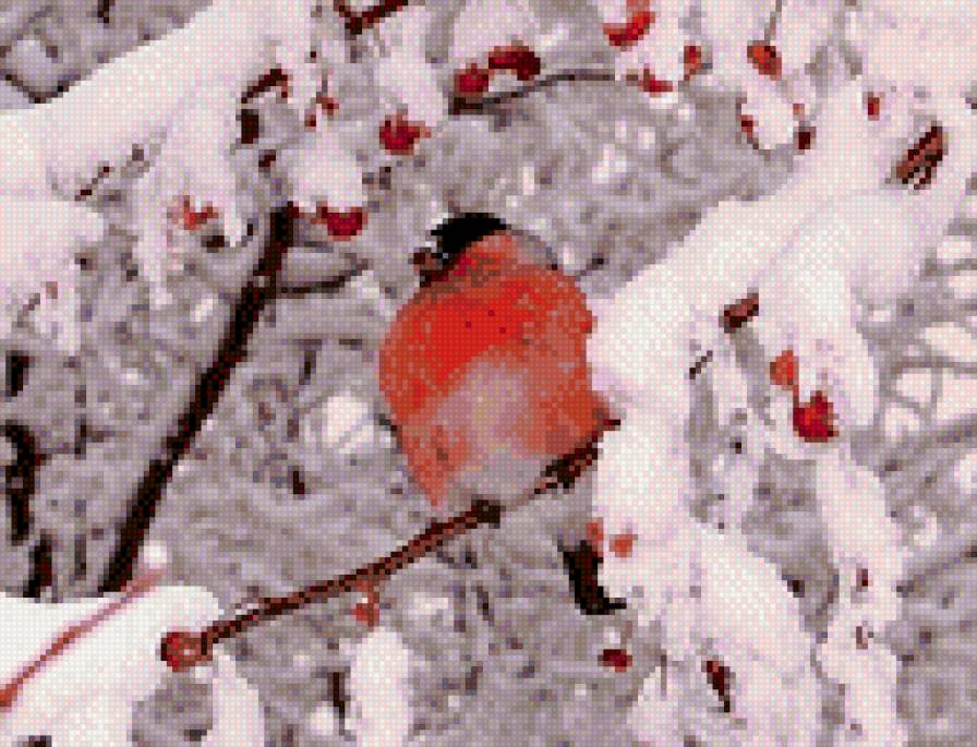 снегирь - зима, снег, птица, рябина - предпросмотр