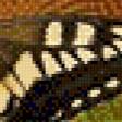 Предпросмотр схемы вышивки «№789920»