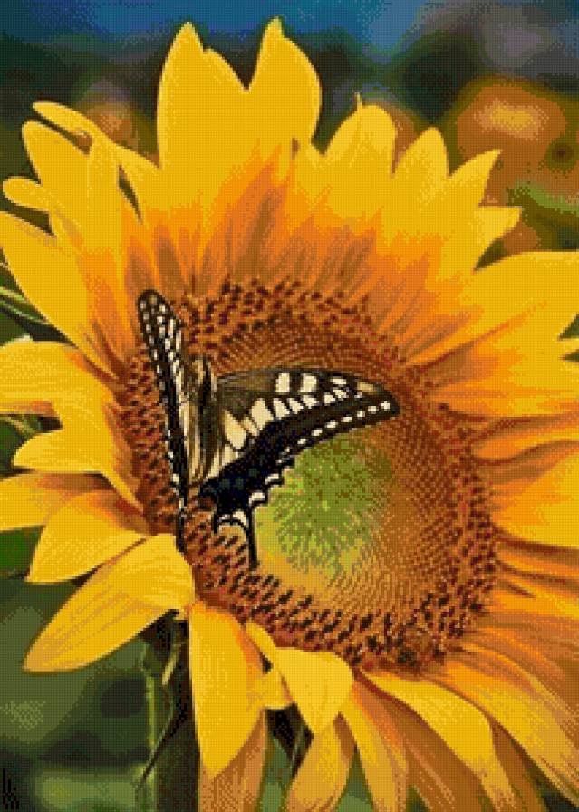 №789920 - предпросмотр