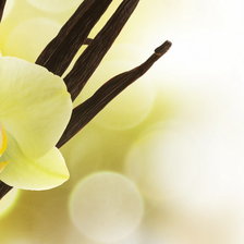 Схема вышивки «Орхидея»