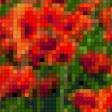Предпросмотр схемы вышивки «Маки» (№790053)