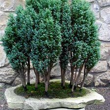 Схема вышивки «№790180»