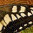 Предпросмотр схемы вышивки «подсолнух» (№790208)
