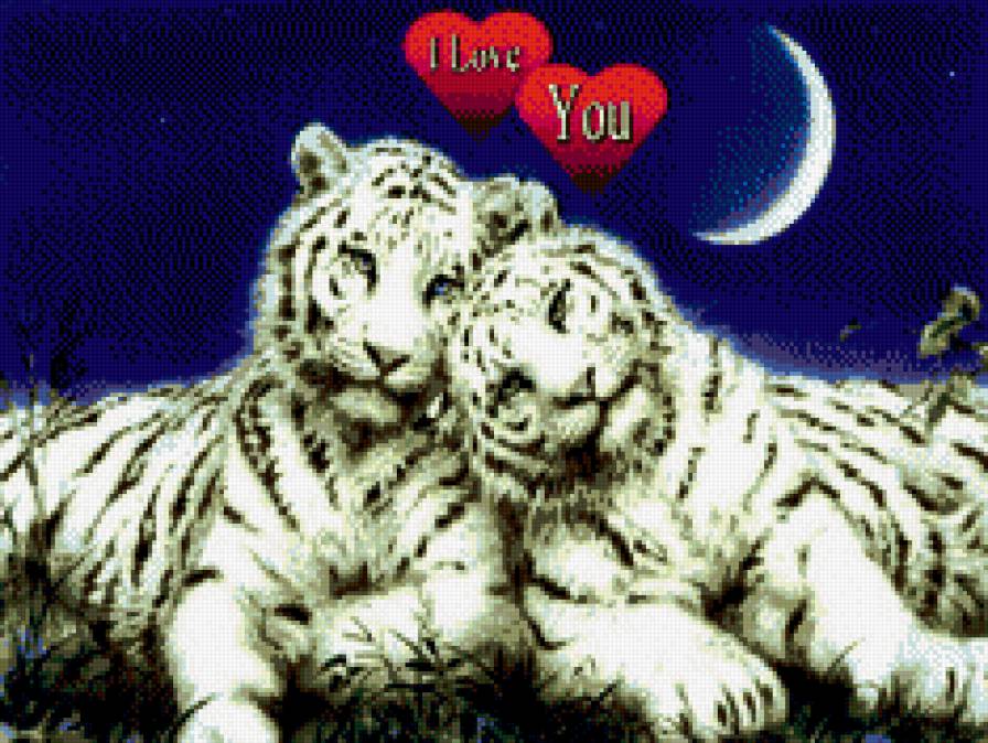 тигры - тигры - предпросмотр