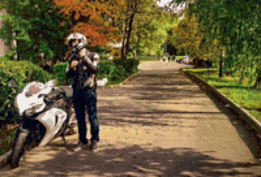 Краски жизни - мотоциклист, fireblade, осень, мото, природа, хонда, суперспорт - предпросмотр