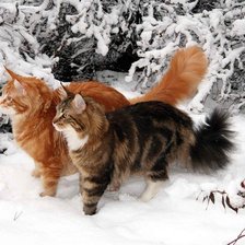 Схема вышивки «Кошки»