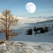 Схема вышивки «1»