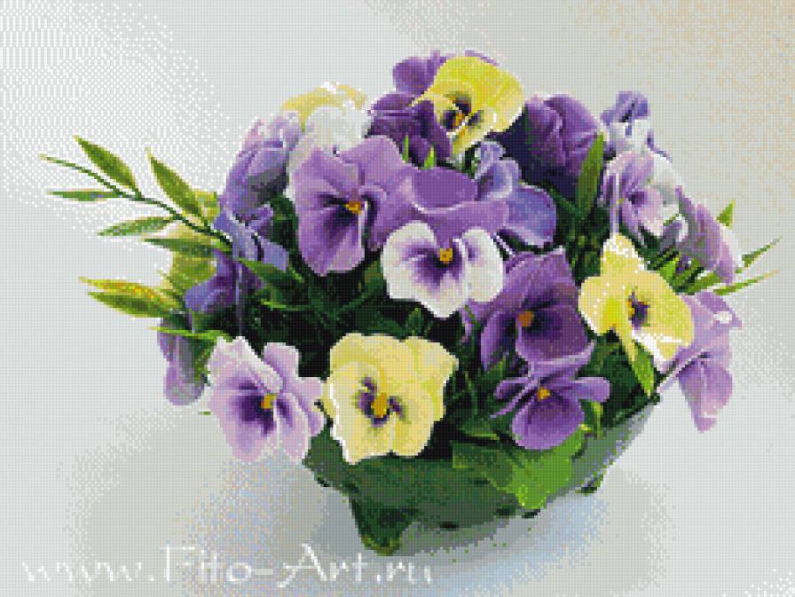 Фиалки - фиалки, анютины глазки, цветы - предпросмотр