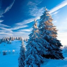 Схема вышивки «Зима»