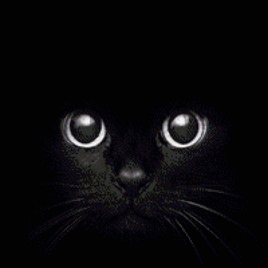 Кошка - черная кошка, кошка, кошачьи глаза. - предпросмотр