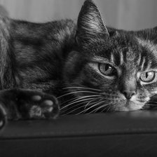 Схема вышивки «спокойствие»