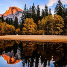 Схема вышивки «осенний лес»