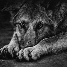 Схема вышивки «Грустные глаза»