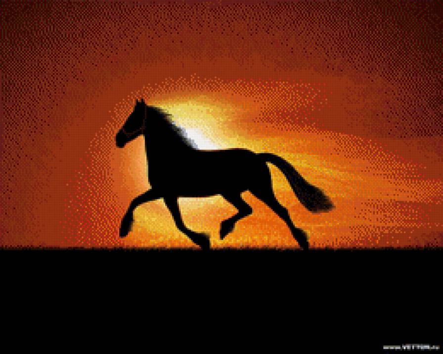 на закате - мустанг, закат, силуэт, конь - предпросмотр