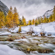 Схема вышивки «№791329»