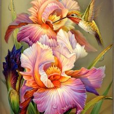 Схема вышивки «№791336»