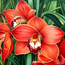 Схема вышивки «Орхидеи»