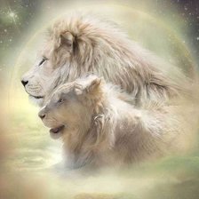 Схема вышивки «он и она»