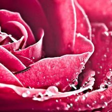 Схема вышивки «№791417»