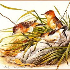 Схема вышивки «№791493»