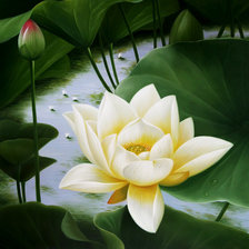 Схема вышивки «№791515»