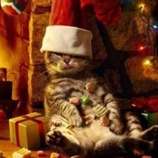 Схема вышивки «Новогодний кот»