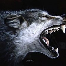 Схема вышивки «Волчий оскал»