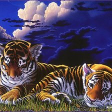 Схема вышивки «тигры»