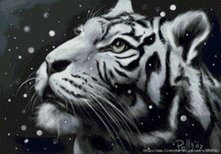 тигр - тигр, монохром - предпросмотр