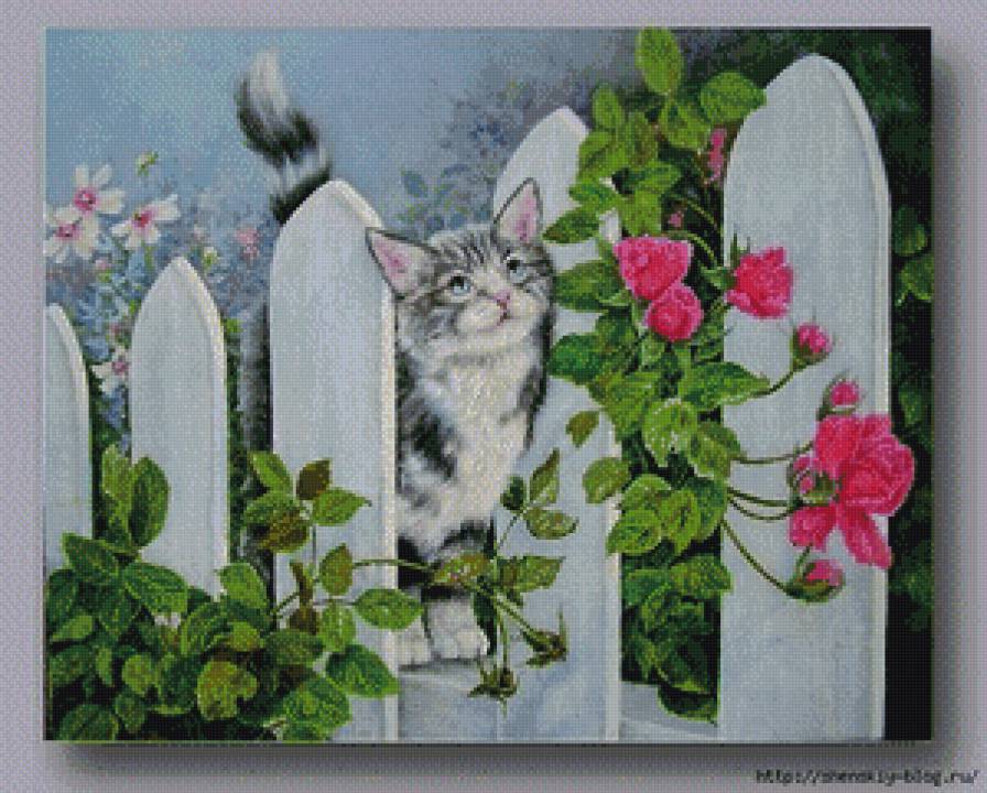 прогулка - забор, прогулка, розы, цветы, кошка - предпросмотр