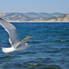 Схема вышивки «Чайки»