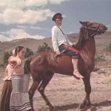 Схема вышивки «Тихий Дон»