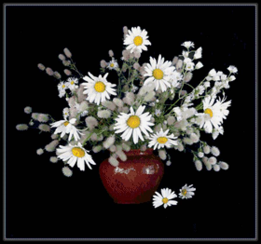 ромашки - черный фон, цветы - предпросмотр
