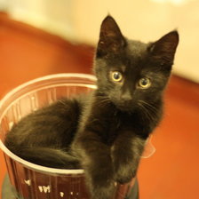 Схема вышивки «чёрный котик»