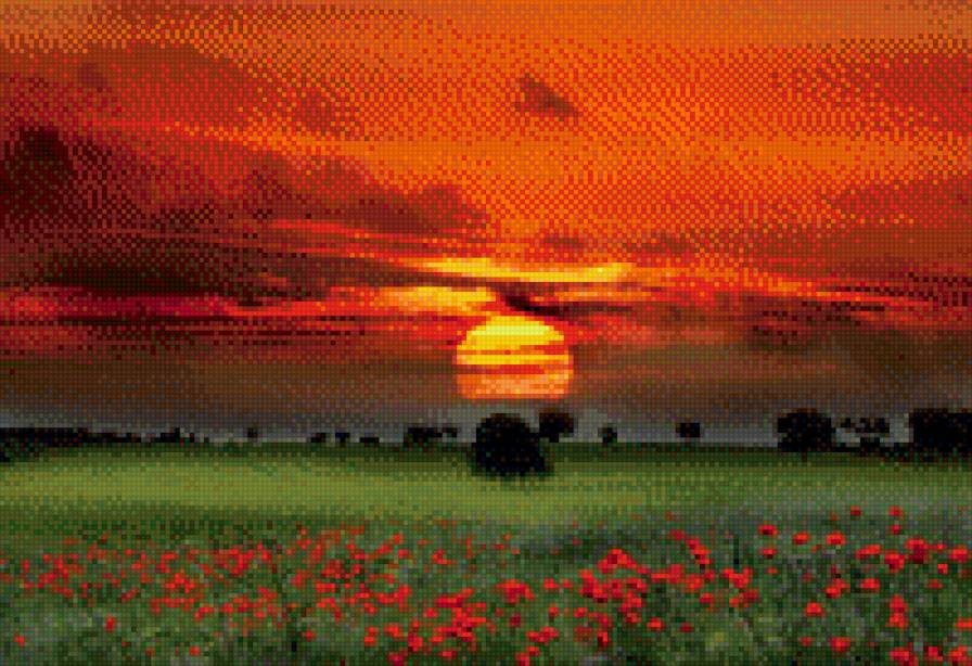 №791950 - солнце, рассвет - предпросмотр