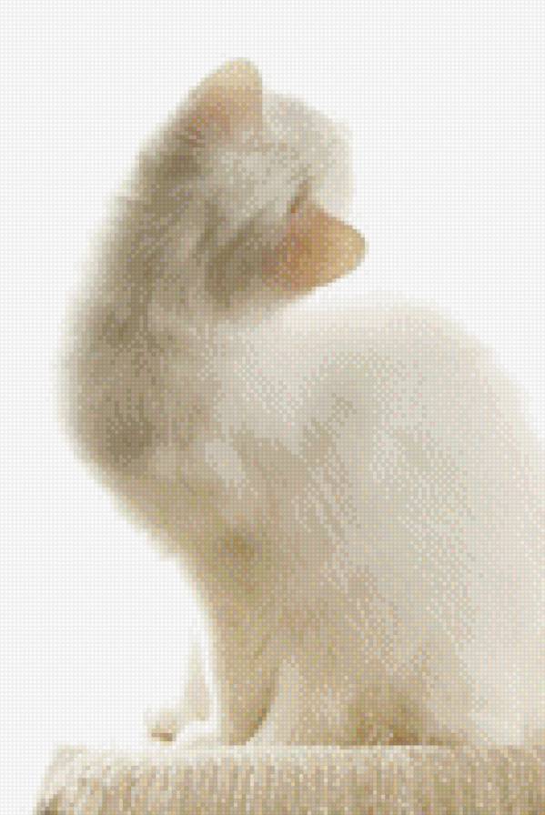 №791965 - животные, котенок, звери, кошки - предпросмотр