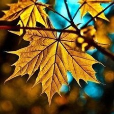 Схема вышивки «№792020»