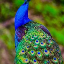 Схема вышивки «№792024»