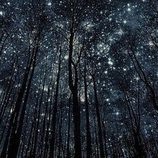 Схема вышивки «Звездная ночь»