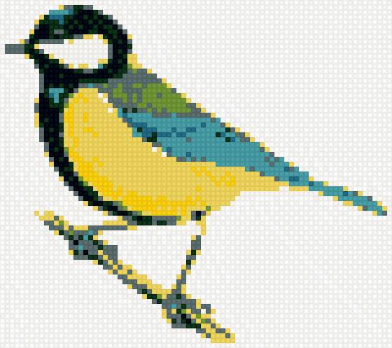 синичка - птица, синичка - предпросмотр