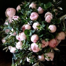 Схема вышивки «№792080»