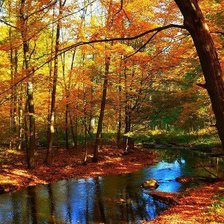 Схема вышивки «№792114»