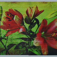 Схема вышивки «вышивка на 20 оттенков»