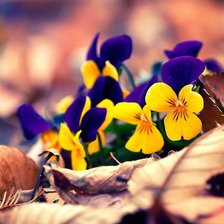 Схема вышивки «№792134»