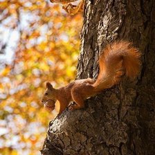 Схема вышивки «№792144»