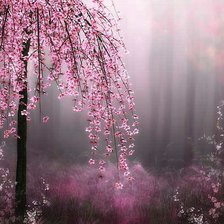 Схема вышивки «Розовый туман»