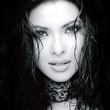 Схема вышивки «Приянка Чопра»